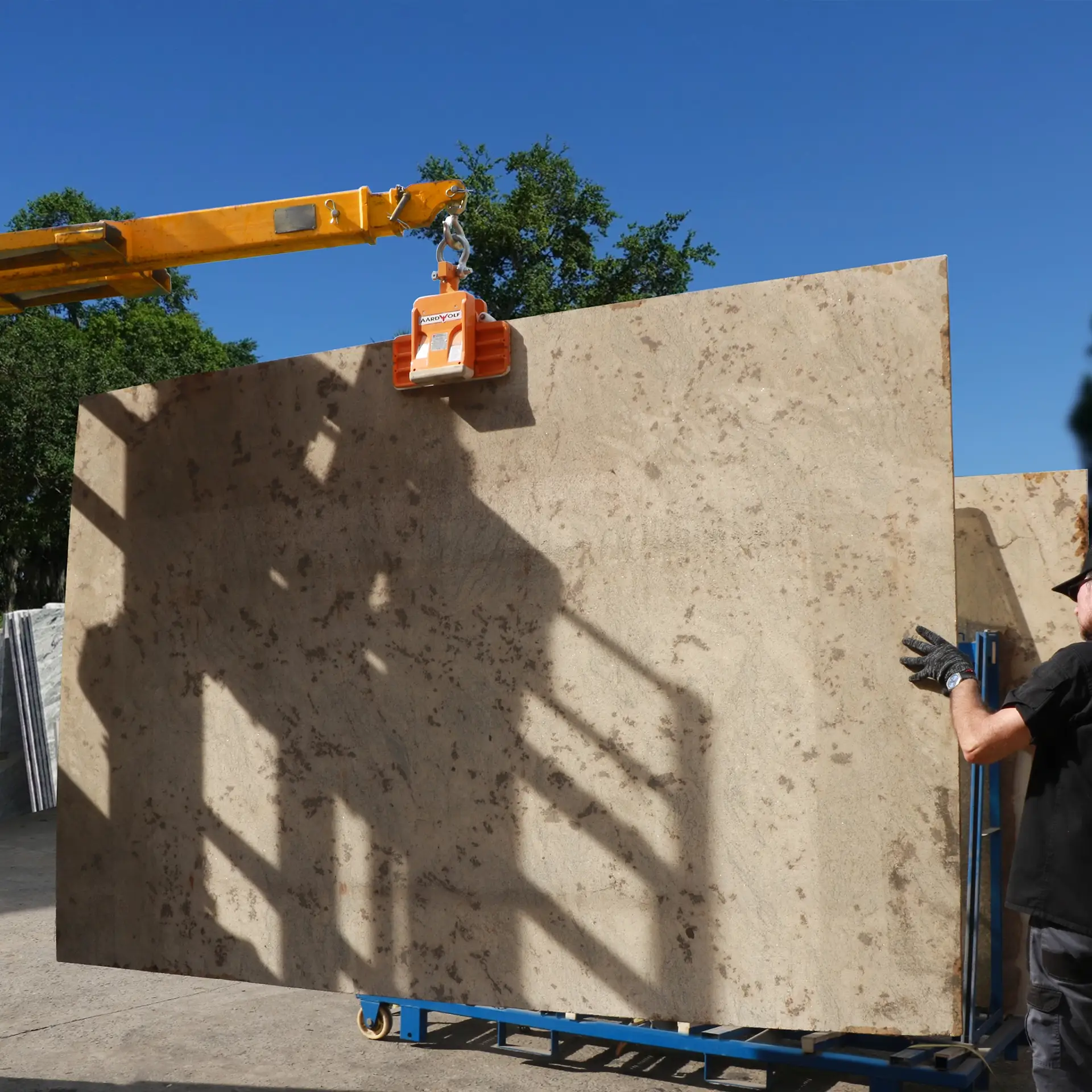 Wide Jaw Series (working 2)